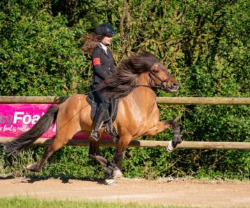 Terminankündigung: 19.07.2025 Reiten und Richten mit Birgit Quasnitschka