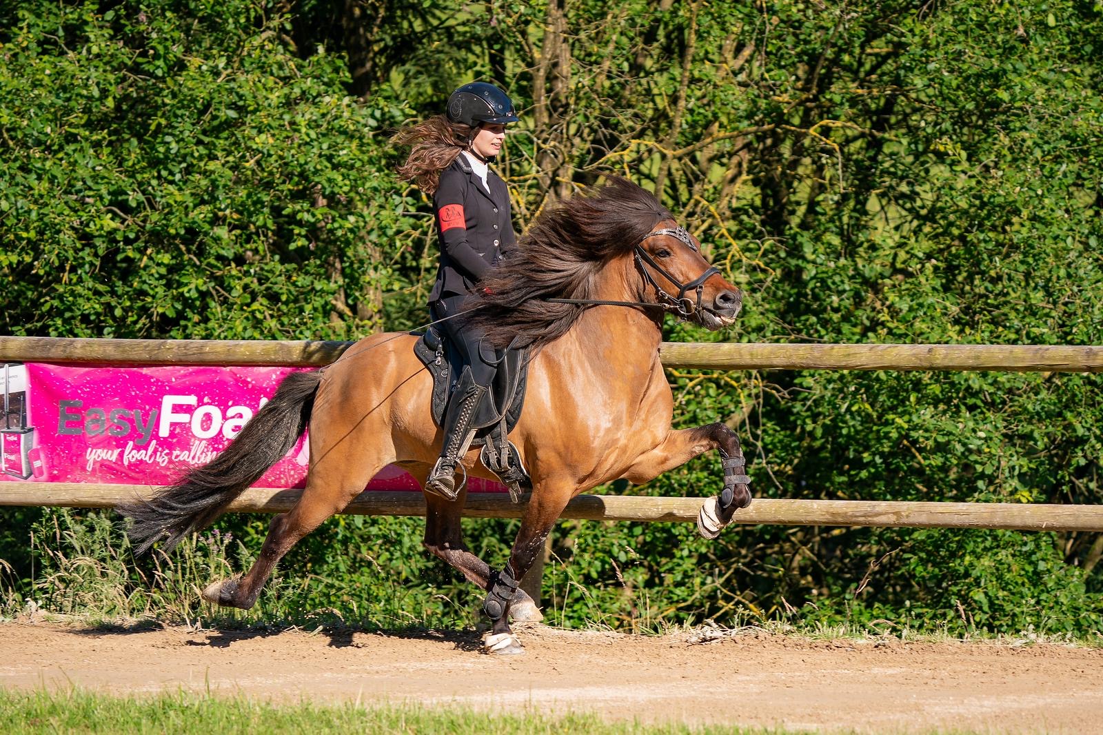 Terminankündigung: 19.07.2025 Reiten und Richten mit Birgit Quasnitschka